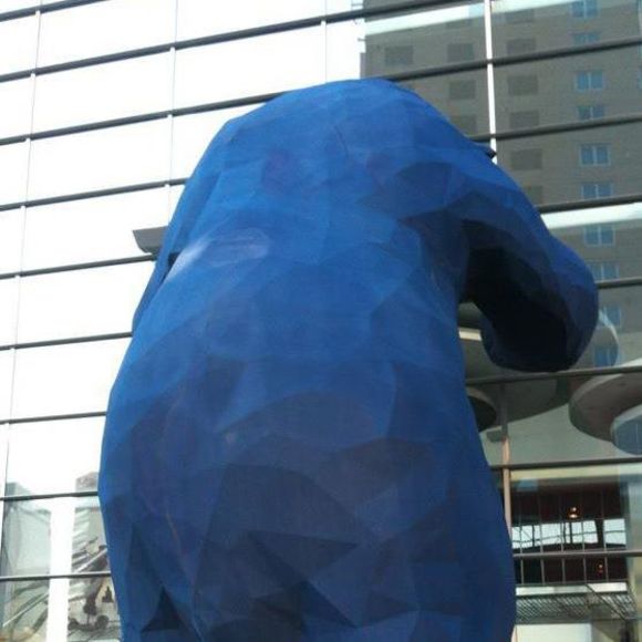 Meet your Posher, Daniel - Picture 1 of 1